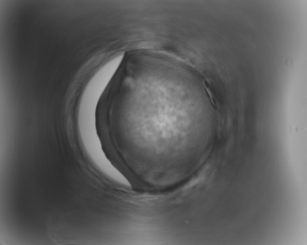 X0000088740197200706282151