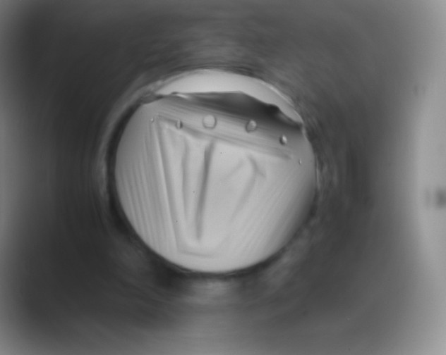 X0000088740198200706282151