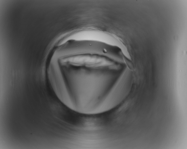 X0000088740200200706282151