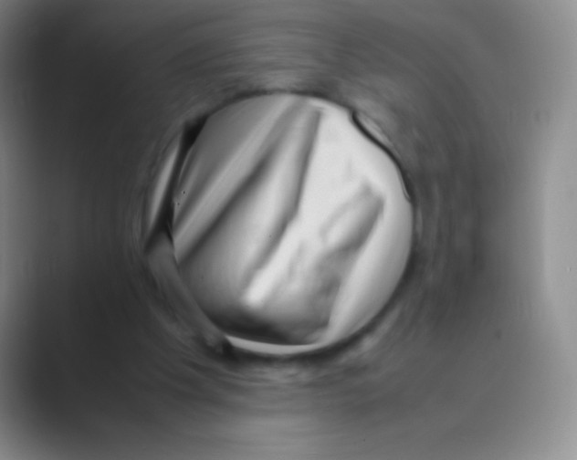 X0000088740201200706282151