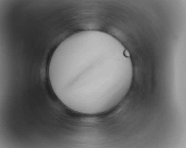 X0000088740202200706282151