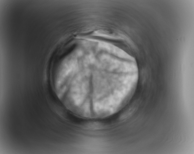 X0000088740203200706282151