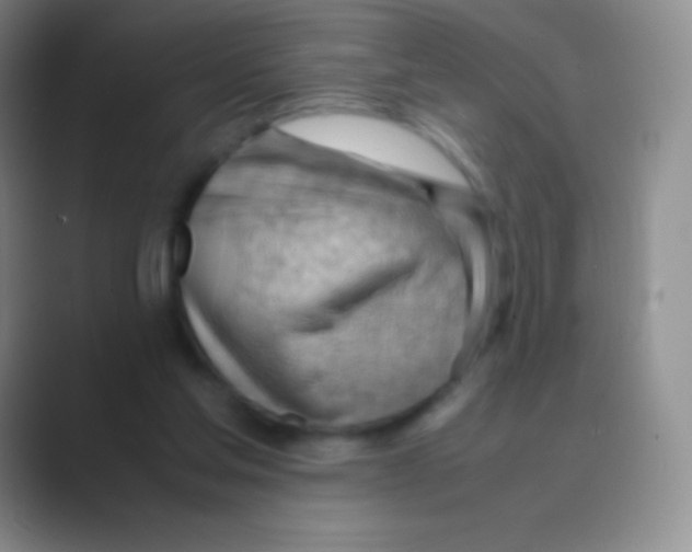 X0000088740205200706282151