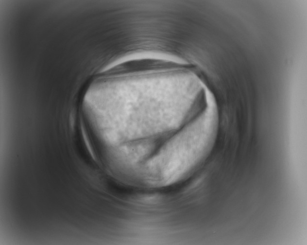 X0000088740206200706282151