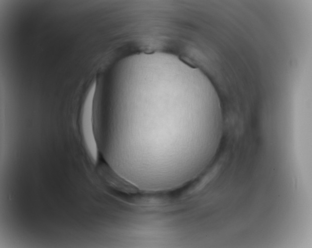 X0000088740209200706282151