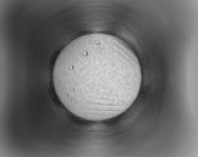 X0000088740210200706282151