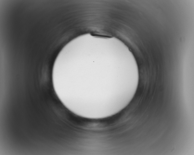 X0000088740212200706282151