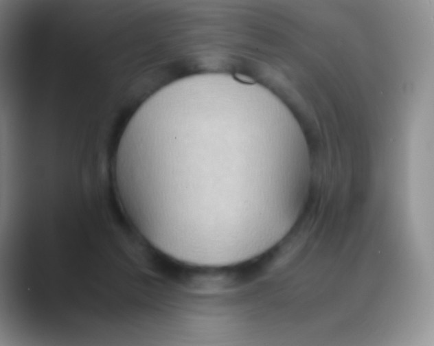 X0000088740213200706282151