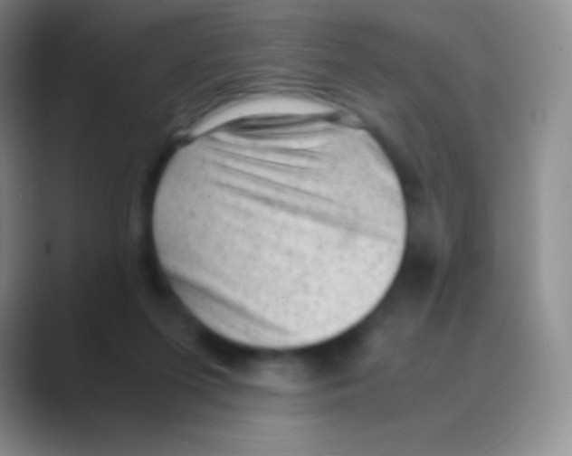 X0000088740215200706282151