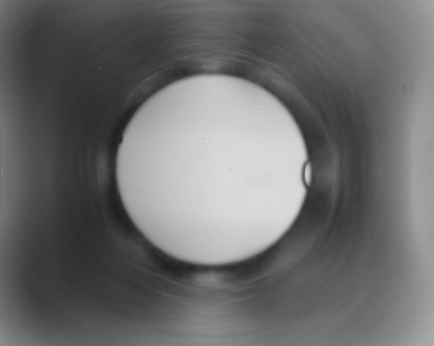 X0000088740216200706282151