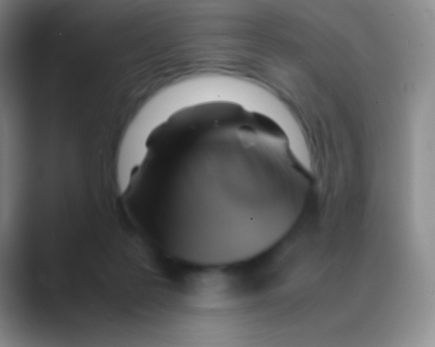 X0000088740219200706282151