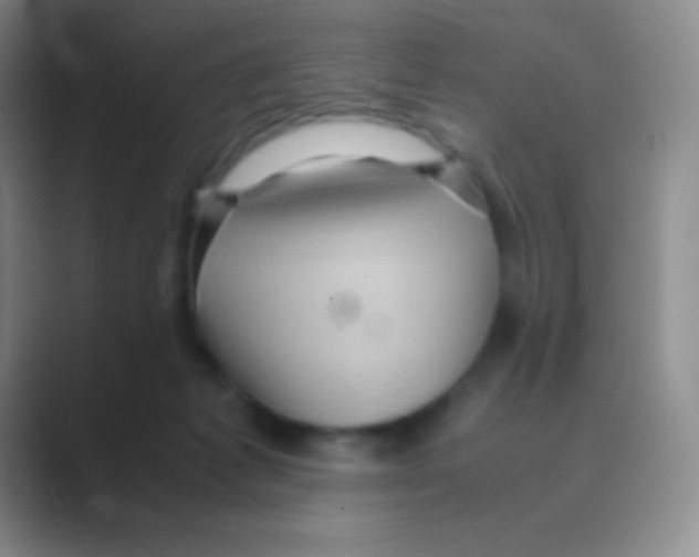 X0000088740221200706282151