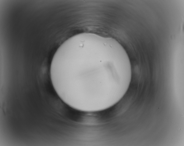 X0000088740222200706282151