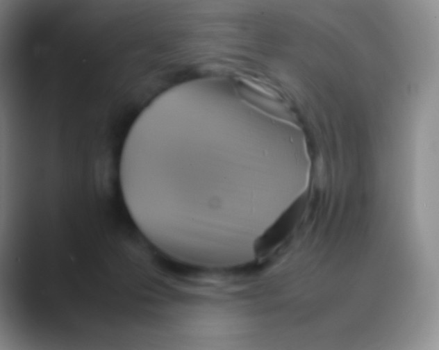 X0000088740223200706282151