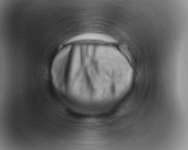 X0000088740224200706282151