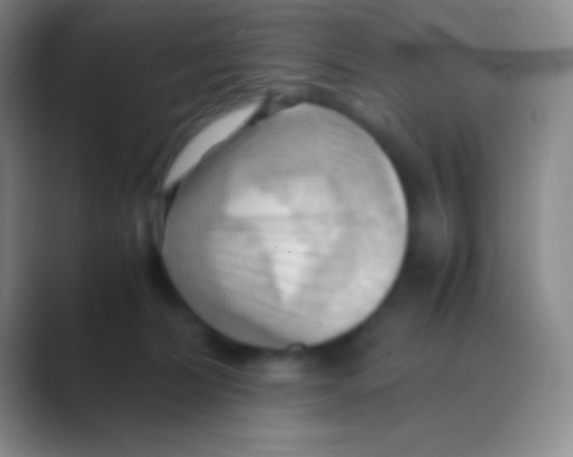 X0000088740228200706282151