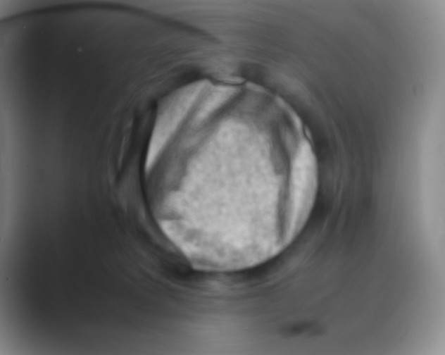 X0000088740229200706282151