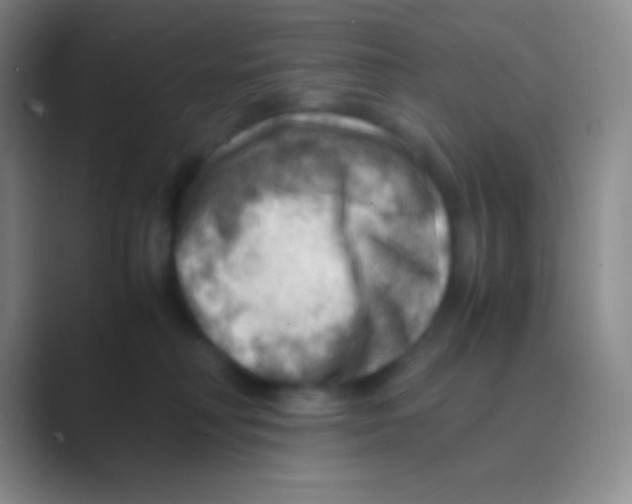 X0000088740230200706282151