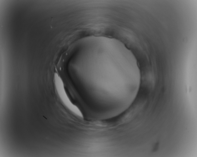 X0000088740231200706282151