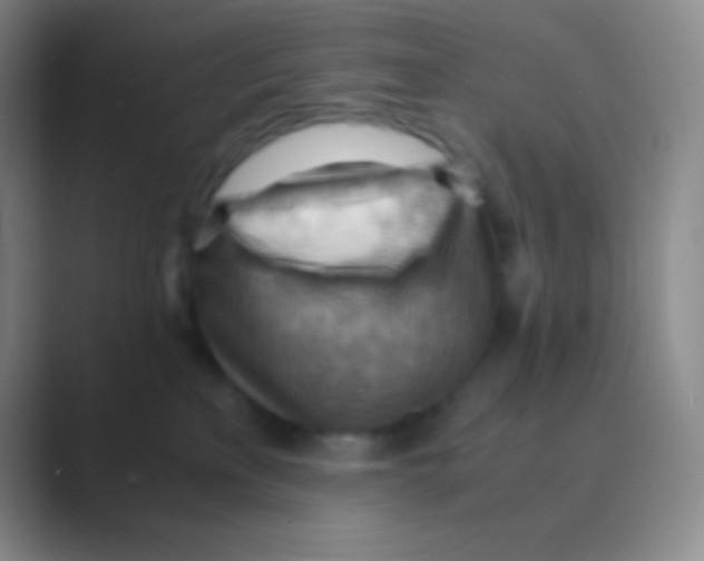 X0000088740233200706282151