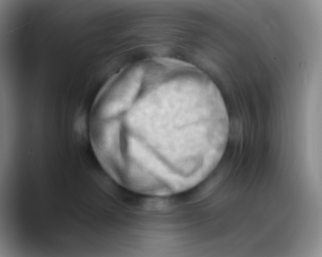 X0000088740238200706282151
