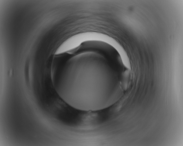 X0000088740239200706282151