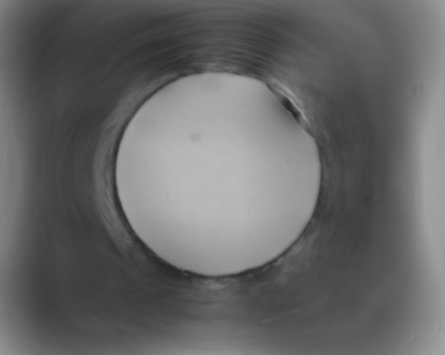 X0000088740241200706282150