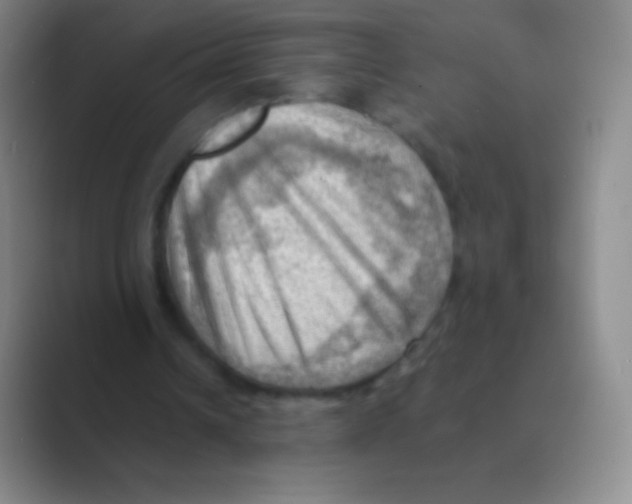 X0000088740242200706282150