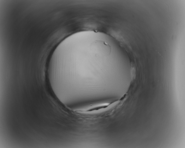 X0000088740243200706282150