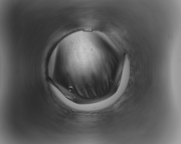 X0000088740244200706282150