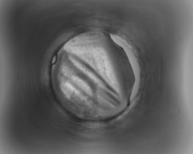X0000088740245200706282150