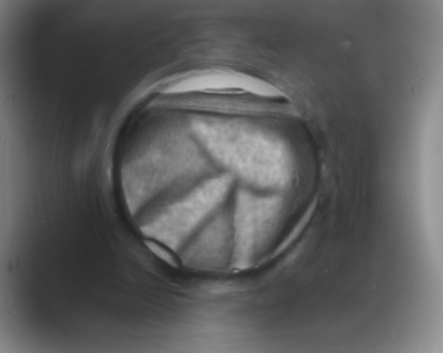 X0000088740246200706282150
