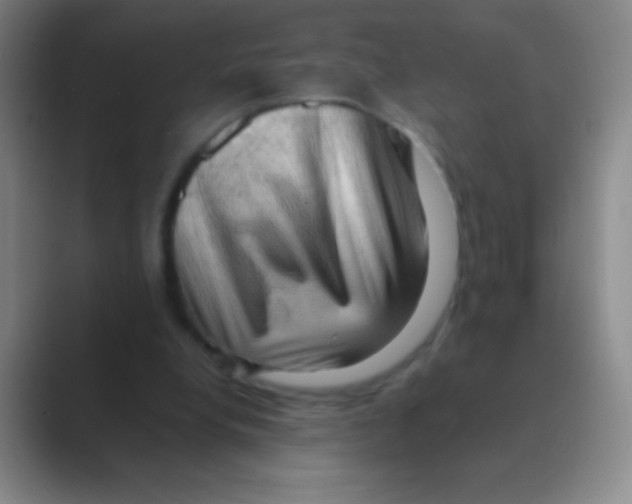 X0000088740248200706282150