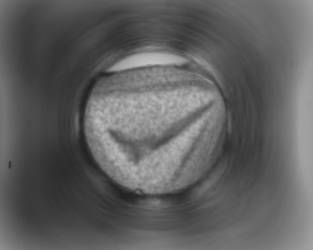 X0000088740253200706282150