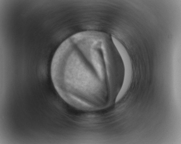X0000088740255200706282150
