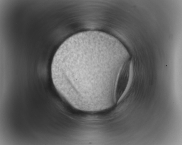 X0000088740256200706282150