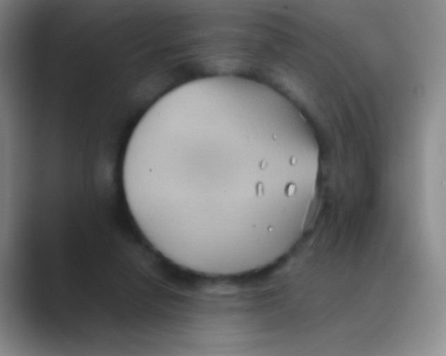 X0000088740258200706282150