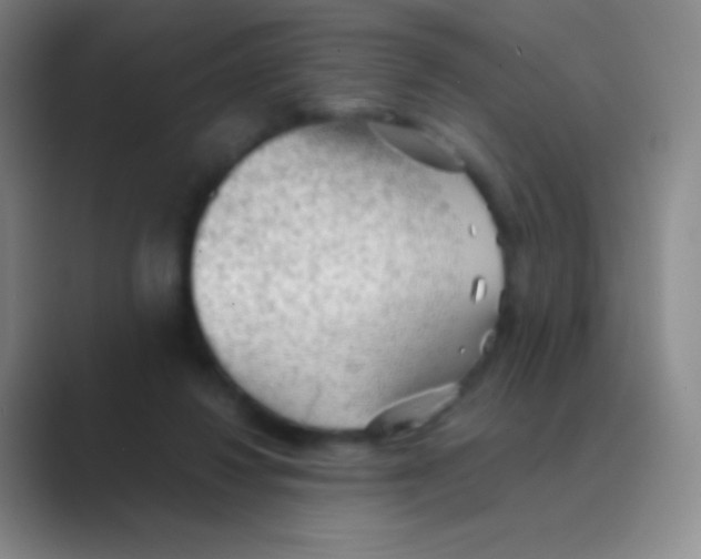 X0000088740260200706282150