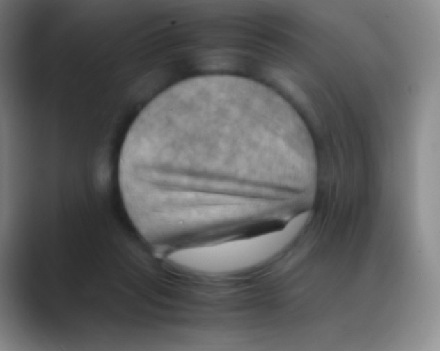 X0000088740261200706282150