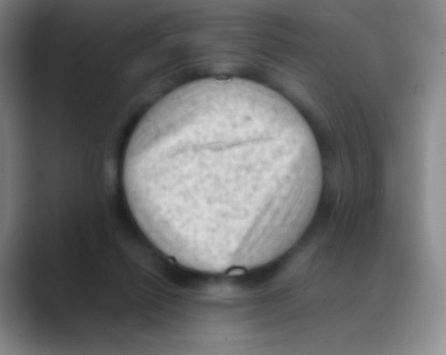X0000088740262200706282150