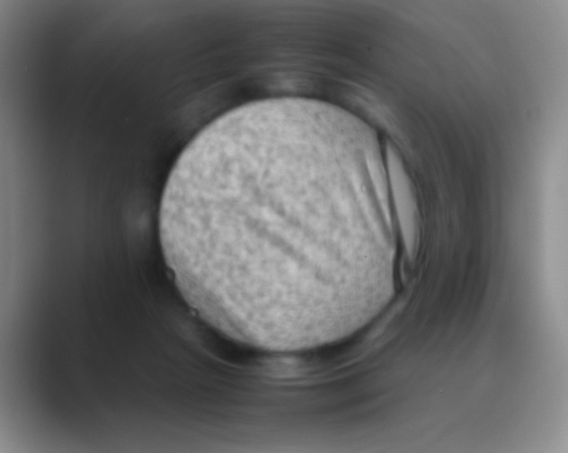 X0000088740265200706282150