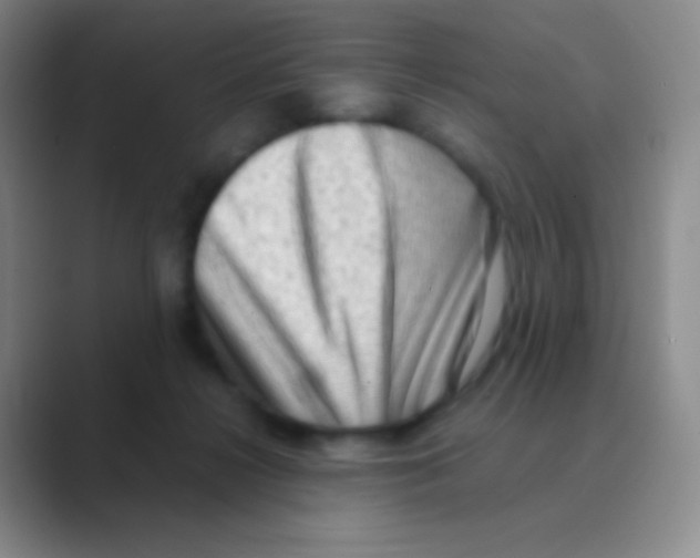 X0000088740268200706282150