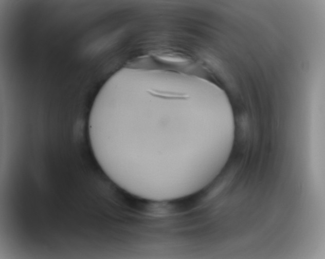 X0000088740269200706282150