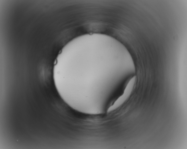 X0000088740271200706282150