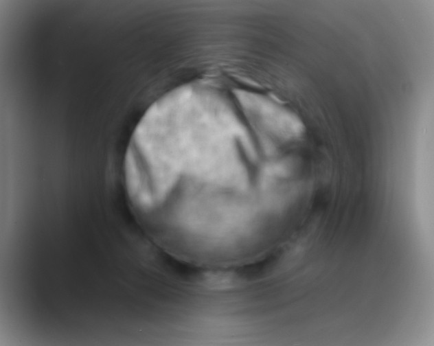 X0000088740272200706282150