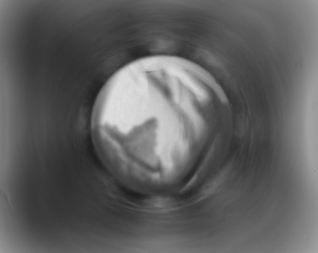 X0000088740273200706282150