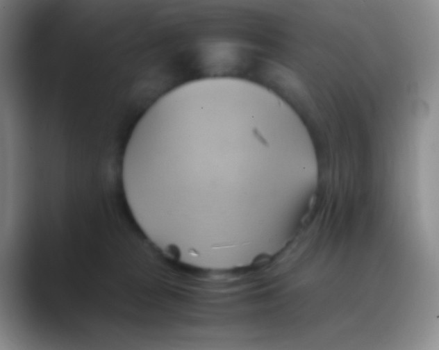 X0000088740277200706282150