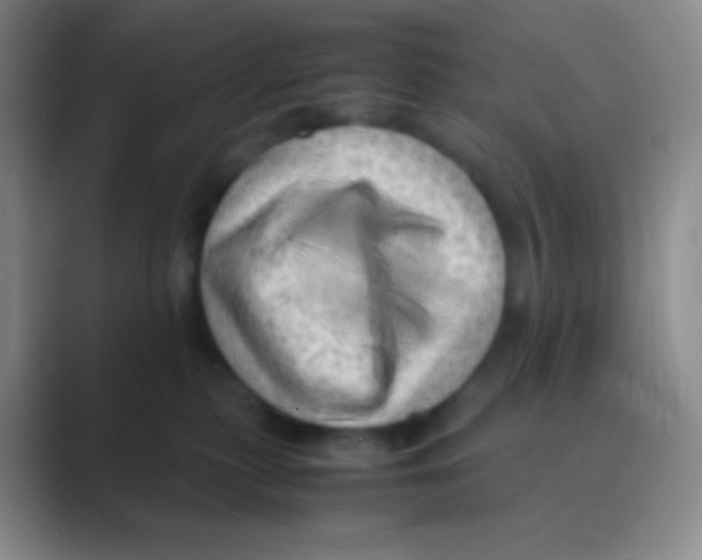 X0000088740279200706282150