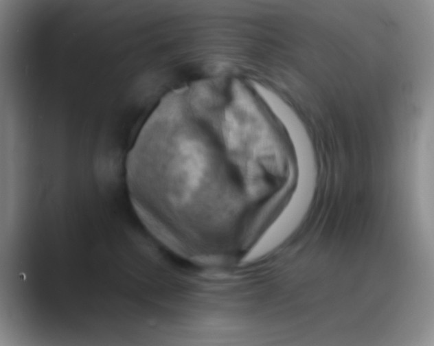 X0000088740280200706282150