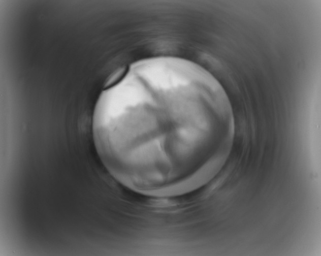 X0000088740281200706282150